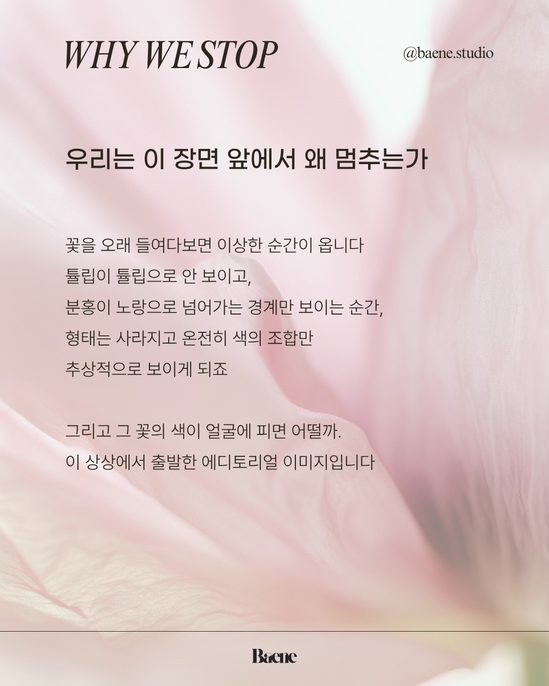 baene #056 prompt anatomy · 꽃 원문 구조