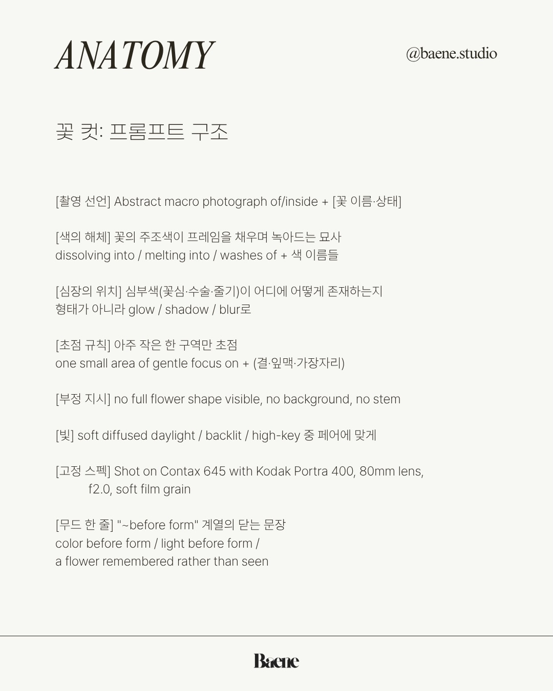 baene #056 prompt anatomy · 꽃 원문 구조