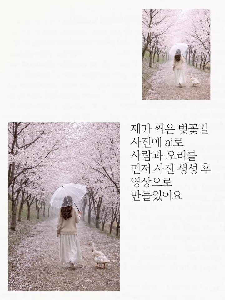 dearmooee 첨부한 이미지를 정확한 시작 장면으로 사용한다. 여자와 오리가 카메라의 반대 방향으로 앞으로 천천히 함께 걸어간다.