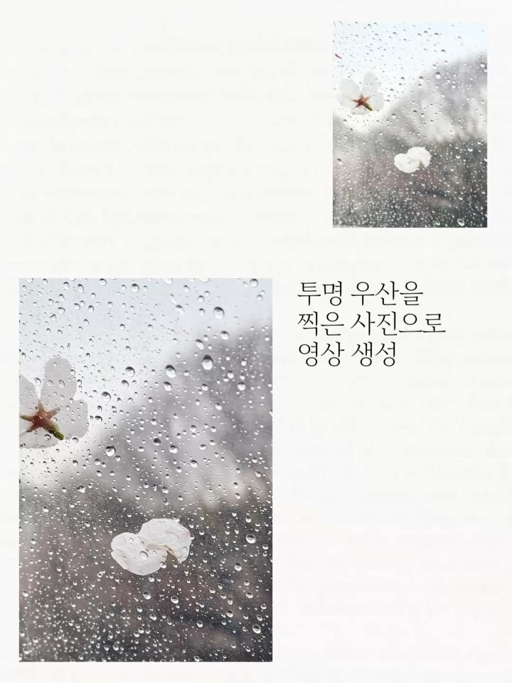 dearmooee 첨부한 이미지를 정확한 시각적 레퍼런스로 사용한다. 투명한 우산 표면을 가까이서 바라보는 시적인 비 장면을 만든다.