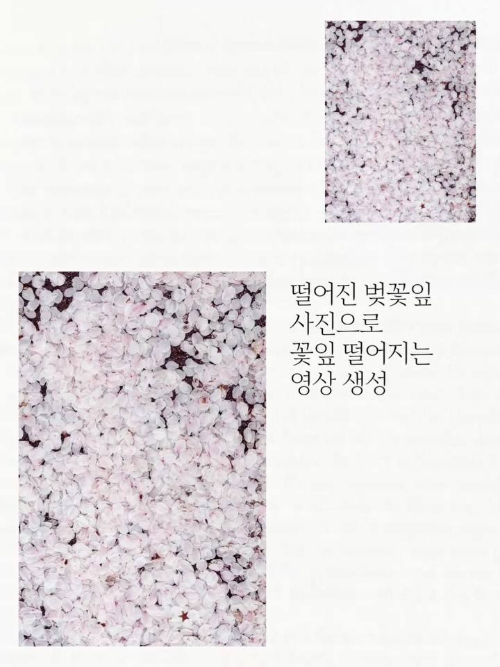 dearmooee 첨부한 벚꽃잎이 바닥에 가득 떨어져 있는 사진을 정확한 베이스 장면으로 사용한다. 위에서 아주 많은 벚꽃잎이 계속