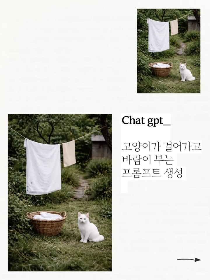 dearmooee 고즈넉한 시골 정원의 모습을 담은 영화 같은 세로 영상입니다. 오래된 나무 사이 빨랫줄에 하얀 빨래가 널려 있고,