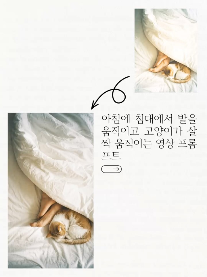 dearmooee 조용하고 영화 같은 아침 침실 풍경. 한 사람이 부드러운 흰색 침구 아래에 누워 있고, 맨발만 이불 밖으로 살짝 보