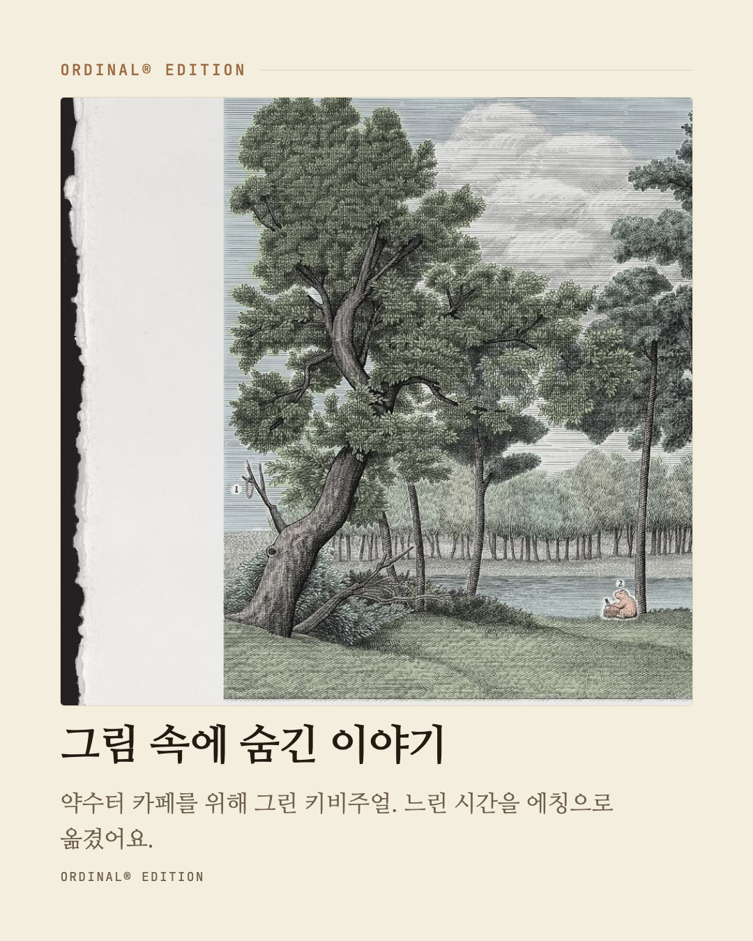 브랜드 캐러셀