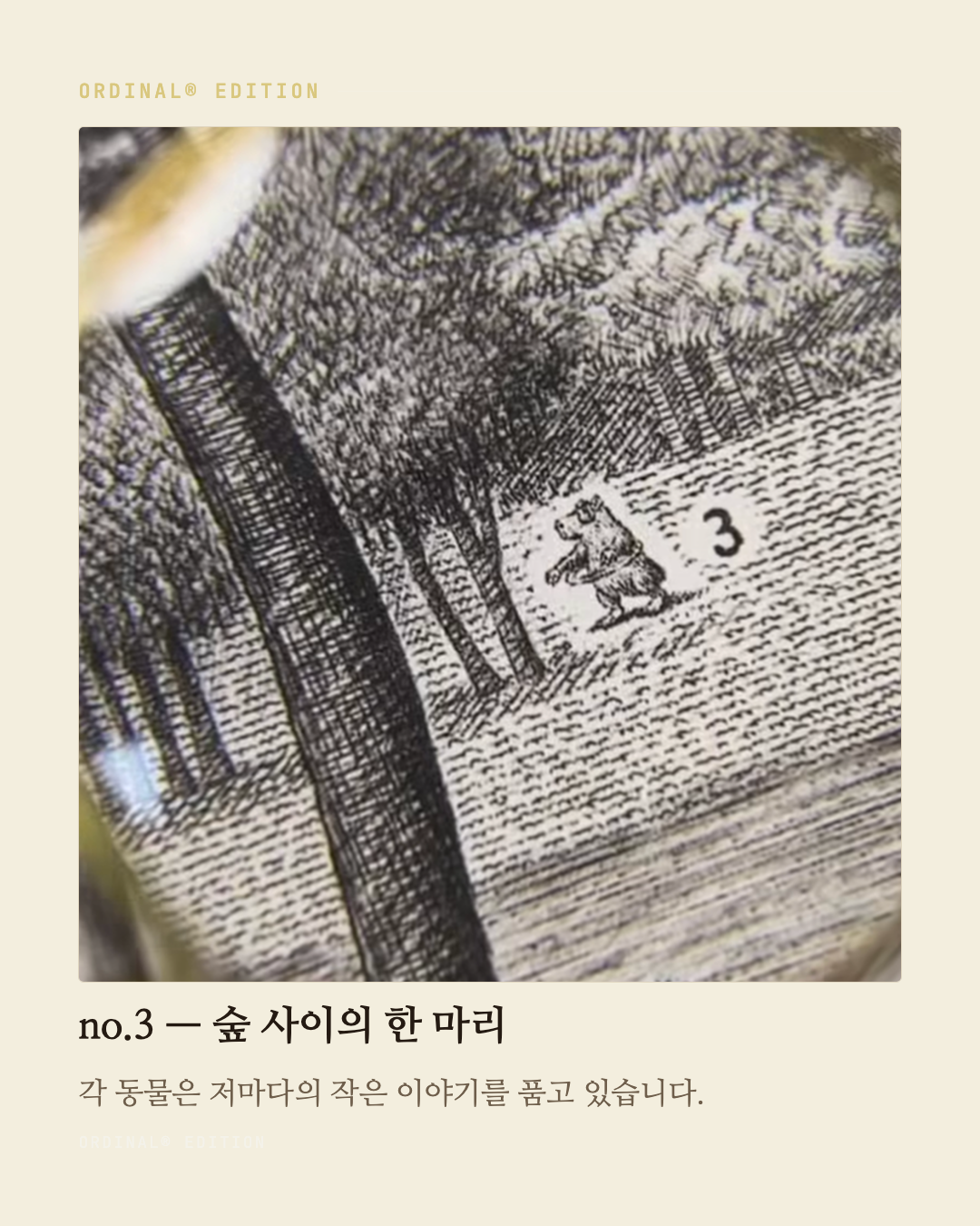 브랜드 캐러셀