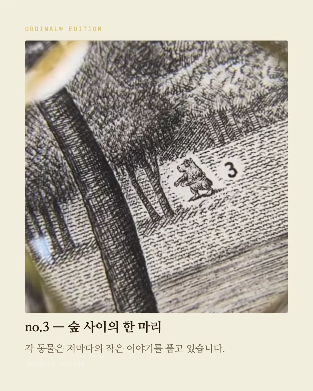 브랜드 캐러셀